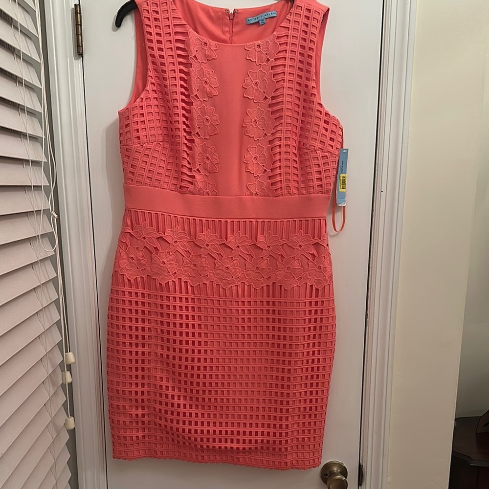 Beautiful coral Antonio Melani dress.  Size 14.